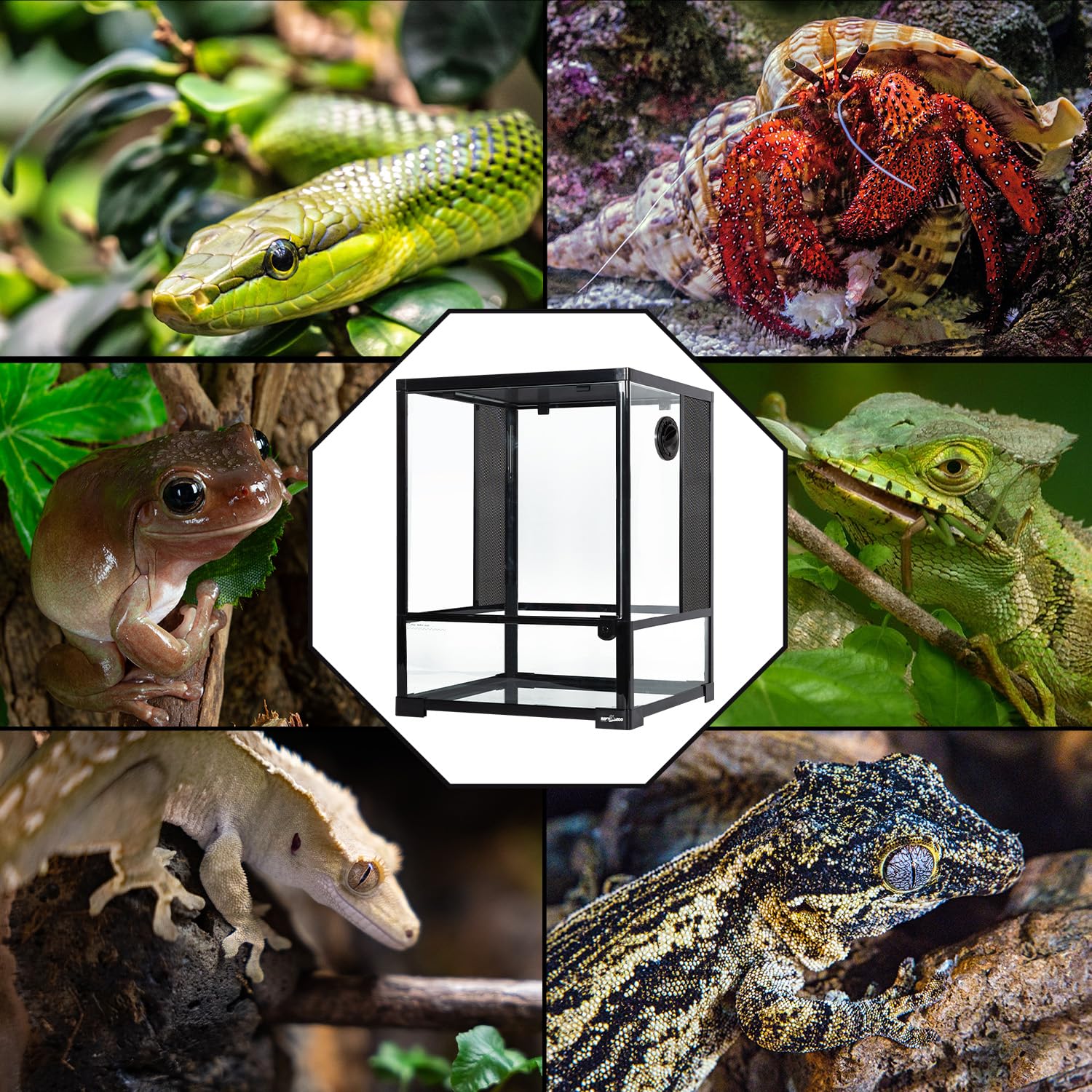 REPTI ZOO flat-packed packaging ensures safe transport and storage.