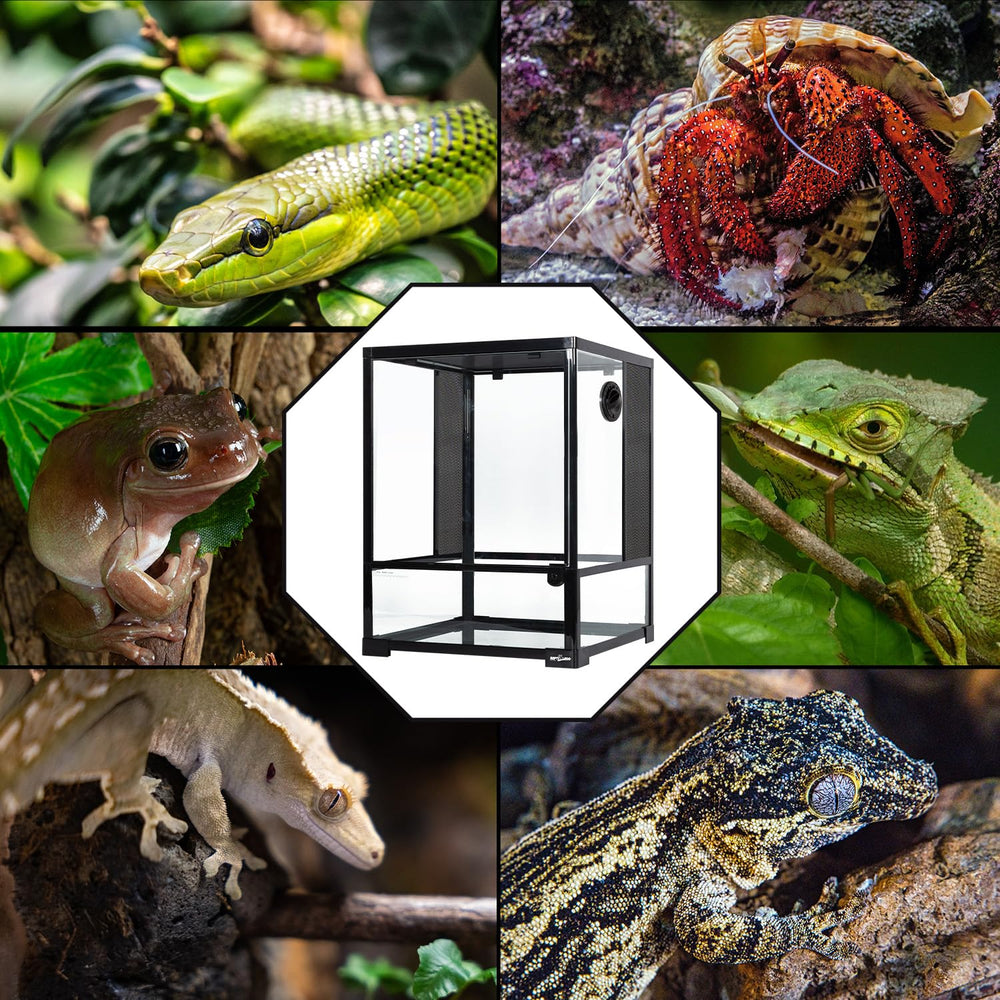 REPTI ZOO flat-packed packaging ensures safe transport and storage.