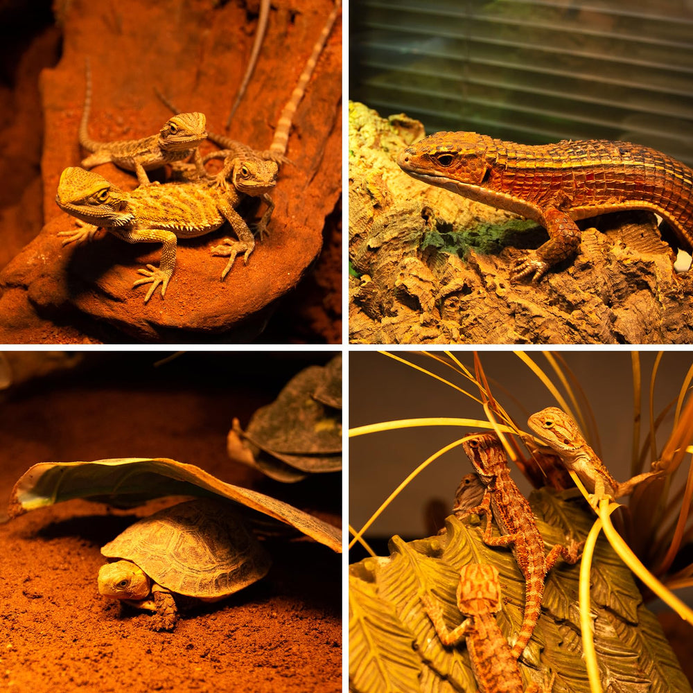 REPTI ZOO 35% increased thermal output for effective basking