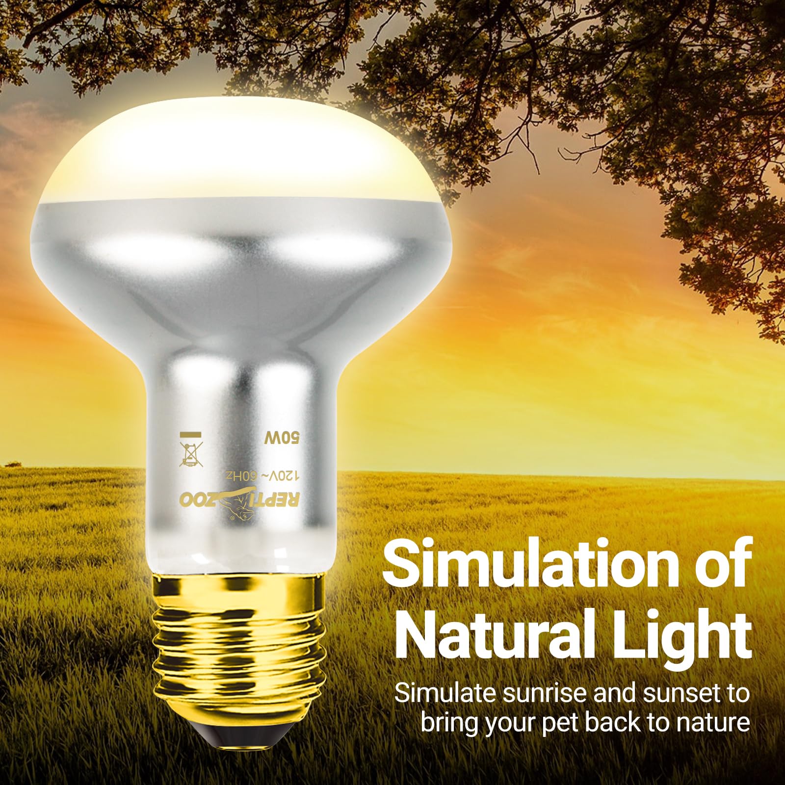 REPTI ZOO 3,000h lifespan highlights durable heating with reliable daily warmth