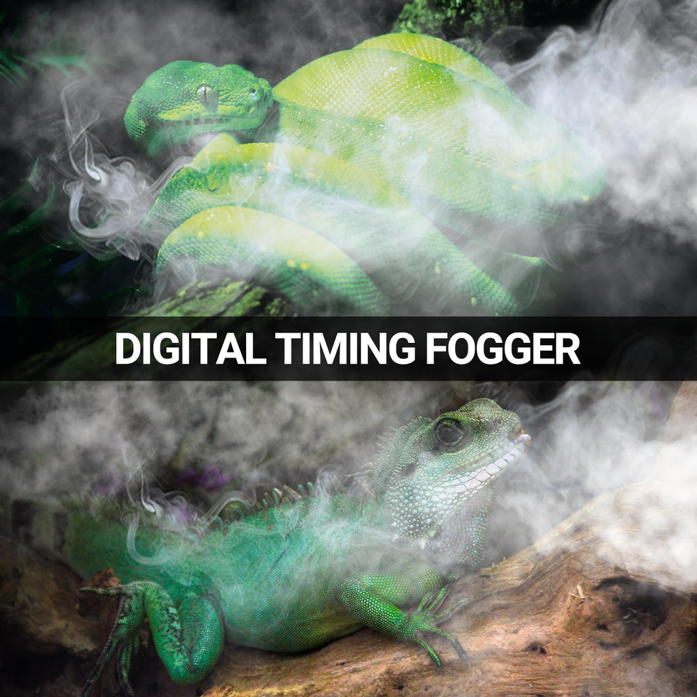 REPTI ZOO 4L timing control enables intermittent humidification