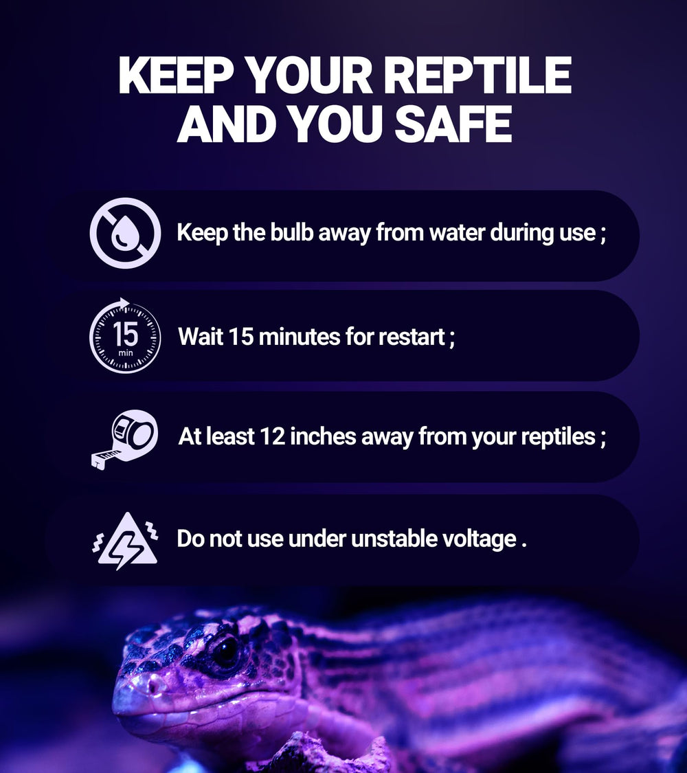 REPTI ZOO bearded dragon night lamp provides steady warmth without bright daytime illumination