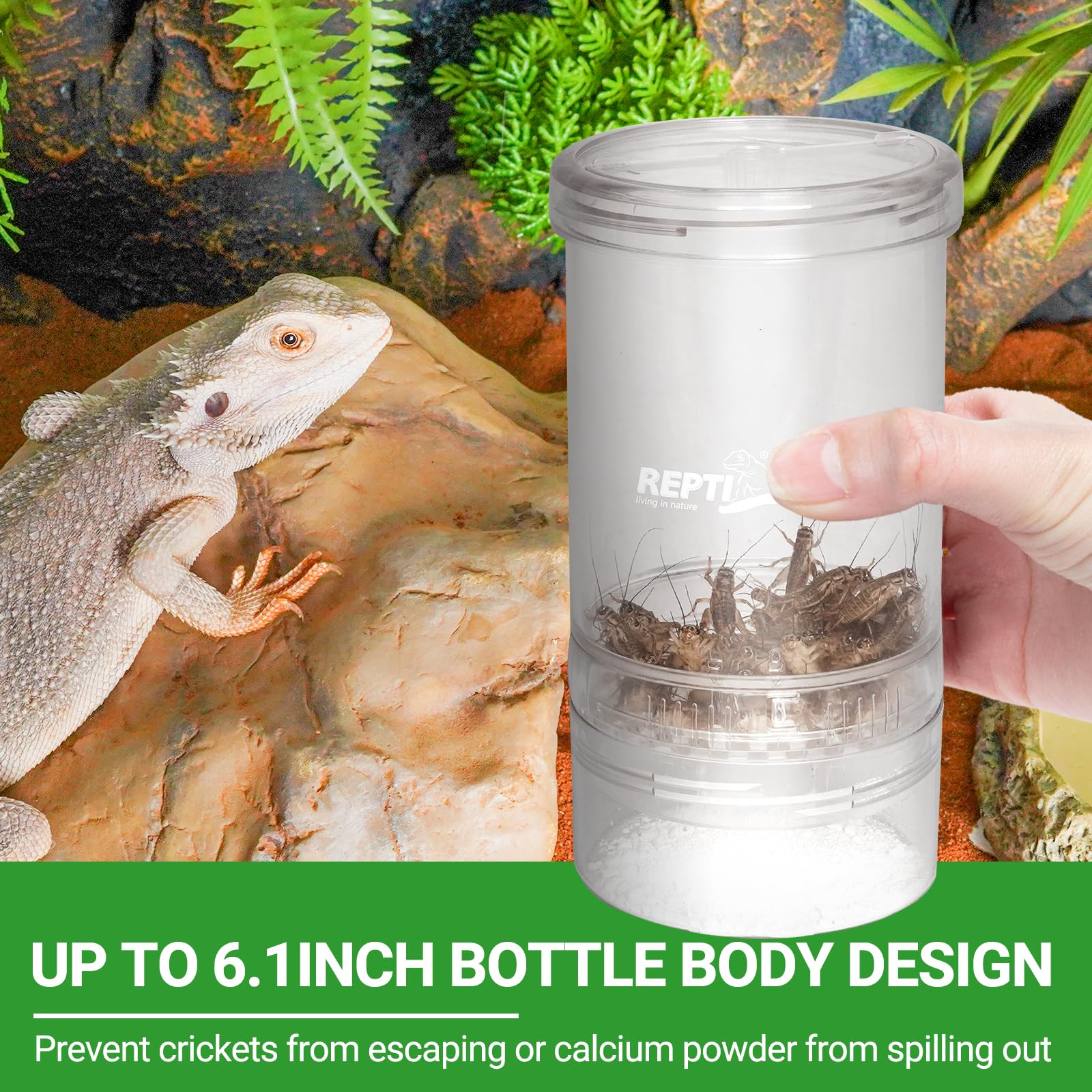 REPTI ZOO cricket feeder in use with bearded dragon supports tidy feeding