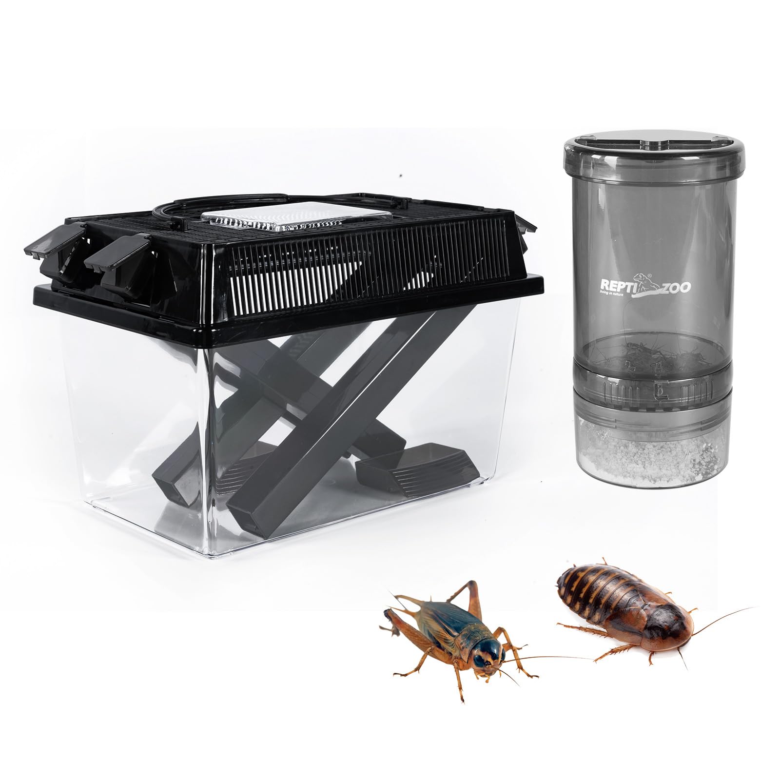 REPTI ZOO cricket keeper front view shows clear acrylic for quick observation