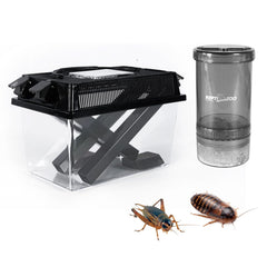 REPTI ZOO cricket keeper front view shows clear acrylic for quick observation