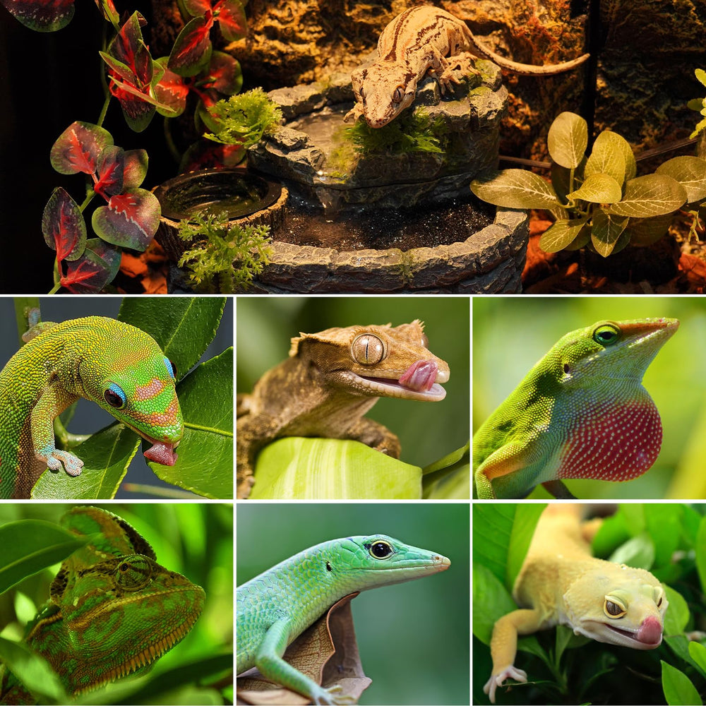 REPTI ZOO decor aesthetics image blends with terrarium surroundings