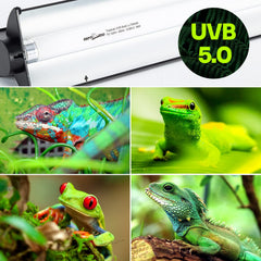 REPTI ZOO detachable curved reflector focuses UVB for brighter terrarium illumination