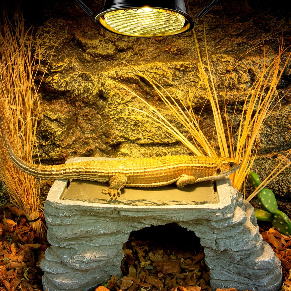 Dome lamp pair installed in enclosure illustrates versatile setup for different tank sizes.