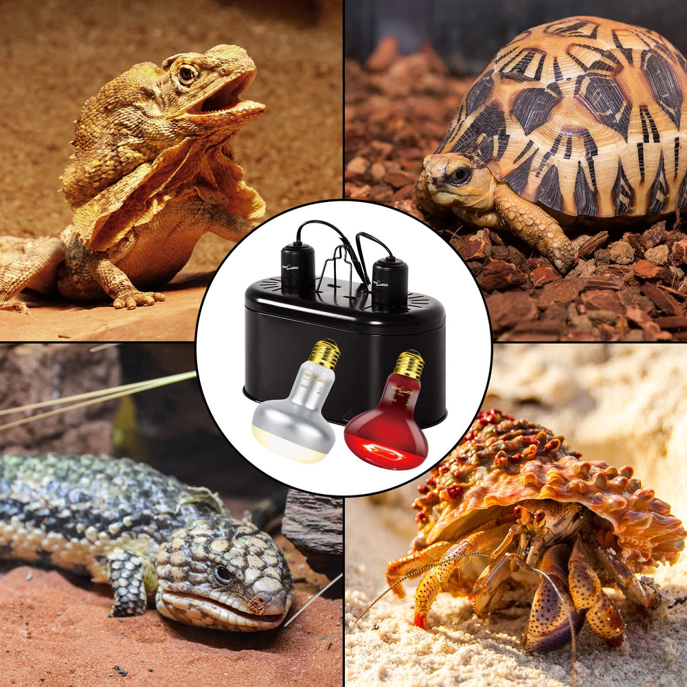 REPTI ZOO dual lamp combo for day and night cycle in reptile habitats.