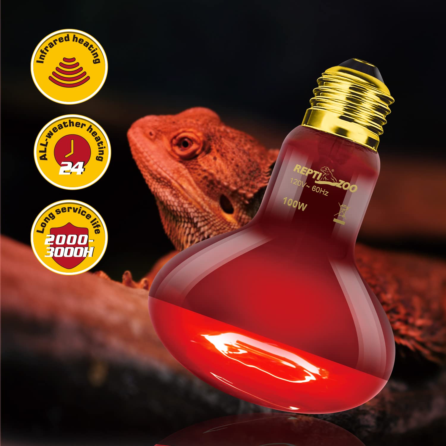 REPTI ZOO dual-switch power lines enable independent control of lamps.