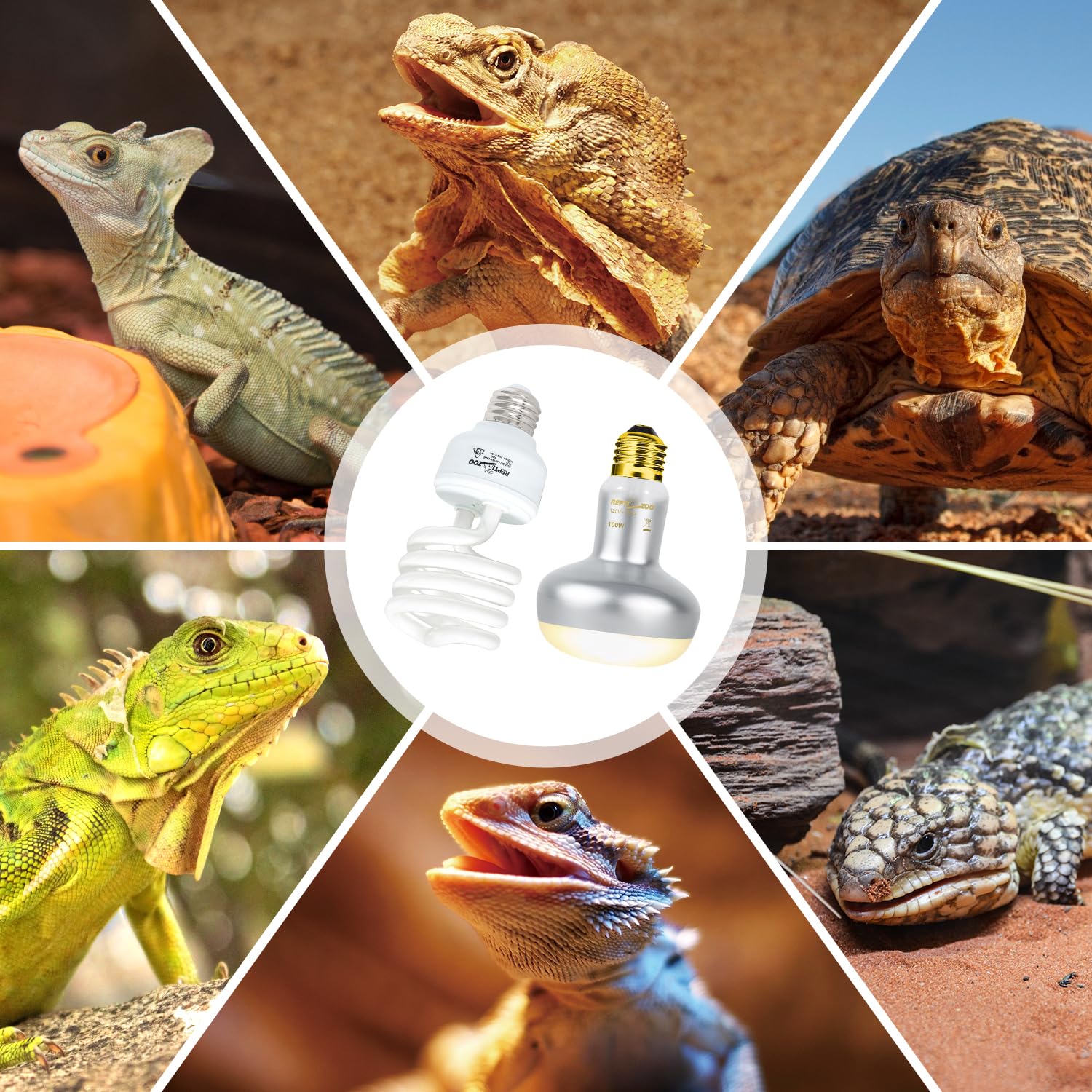 REPTI ZOO ETL-certified bulb with standard E26 socket.