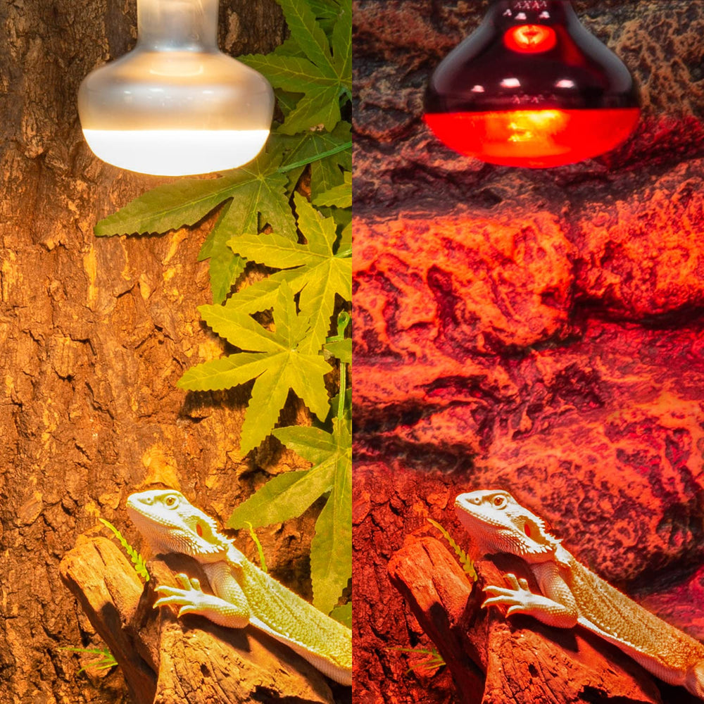 REPTI ZOO flat-bottom beam concentrates light and heat for basking.