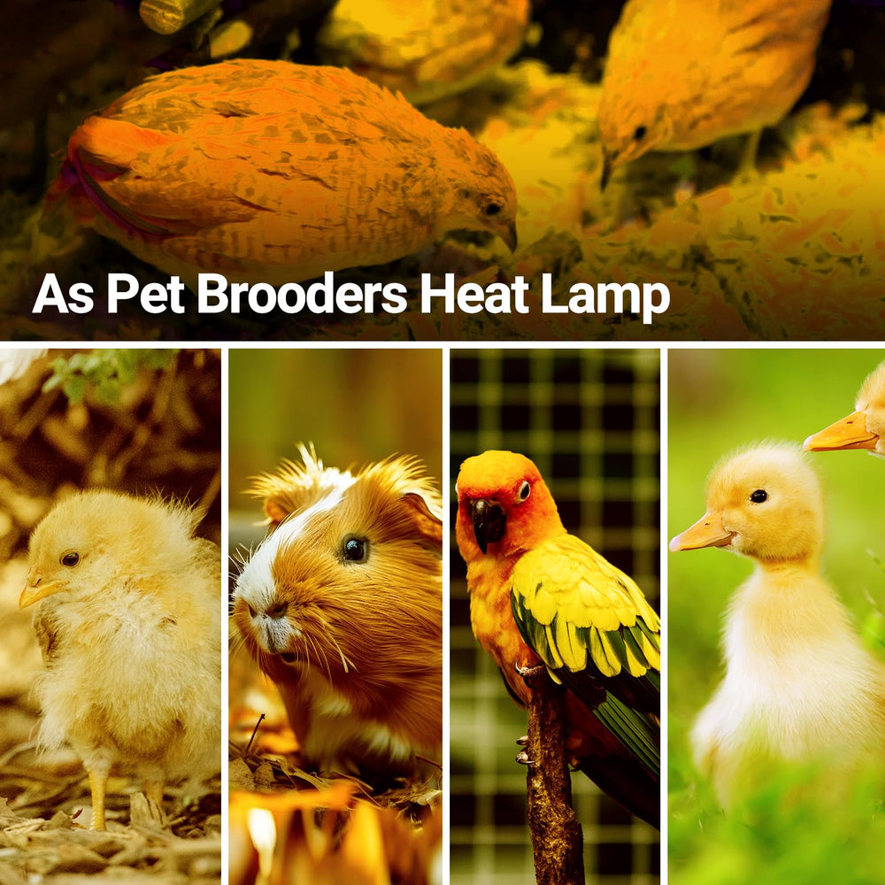 REPTI ZOO frosted surface shields eyes and provides softer lighting
