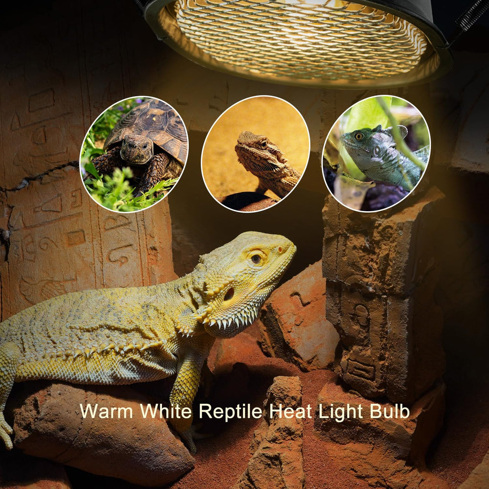 REPTI ZOO G9 mini UVA light emits warm glow for natural basking