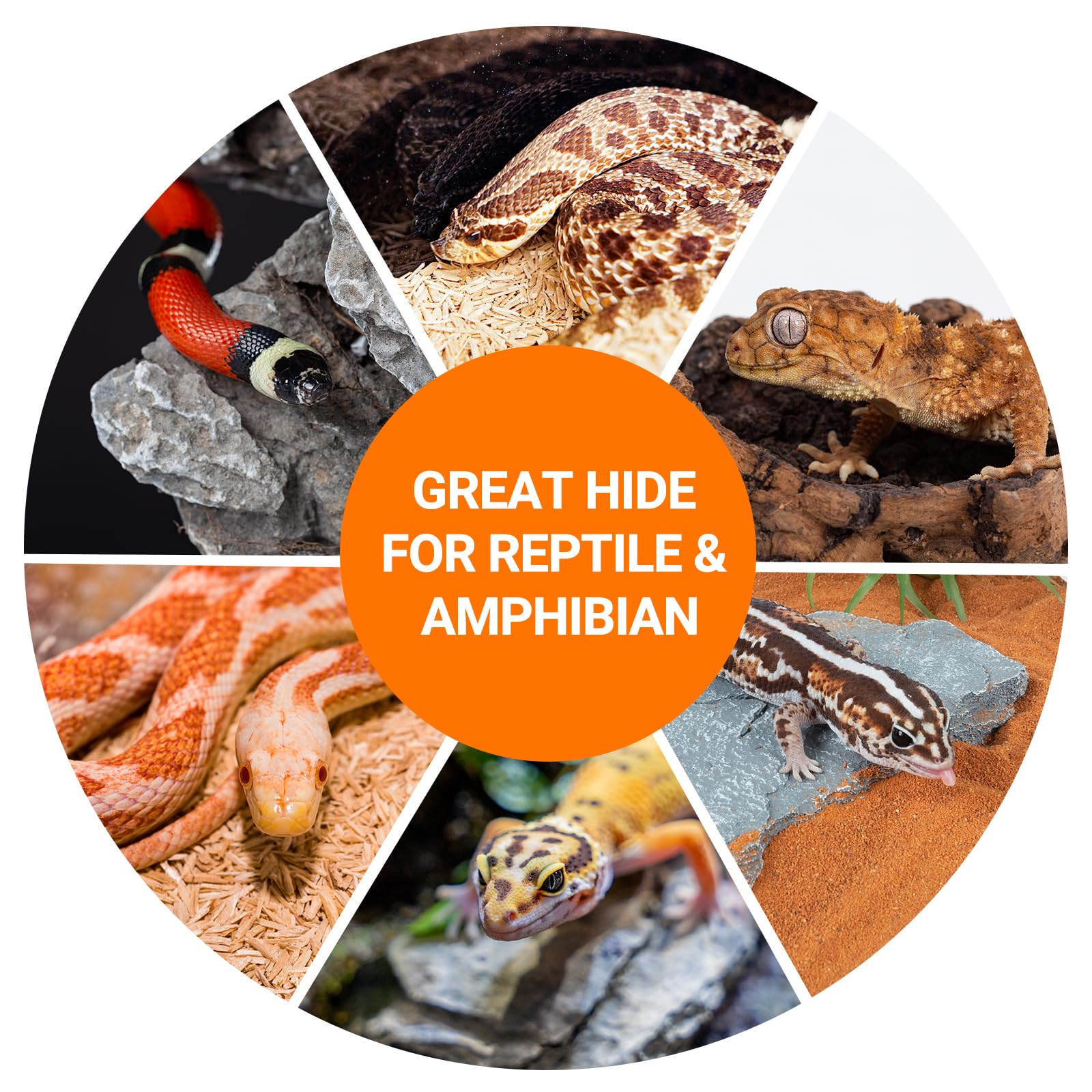 REPTI ZOO Gecko Hide Cave dimensions ensure compact, space-efficient reptile decor