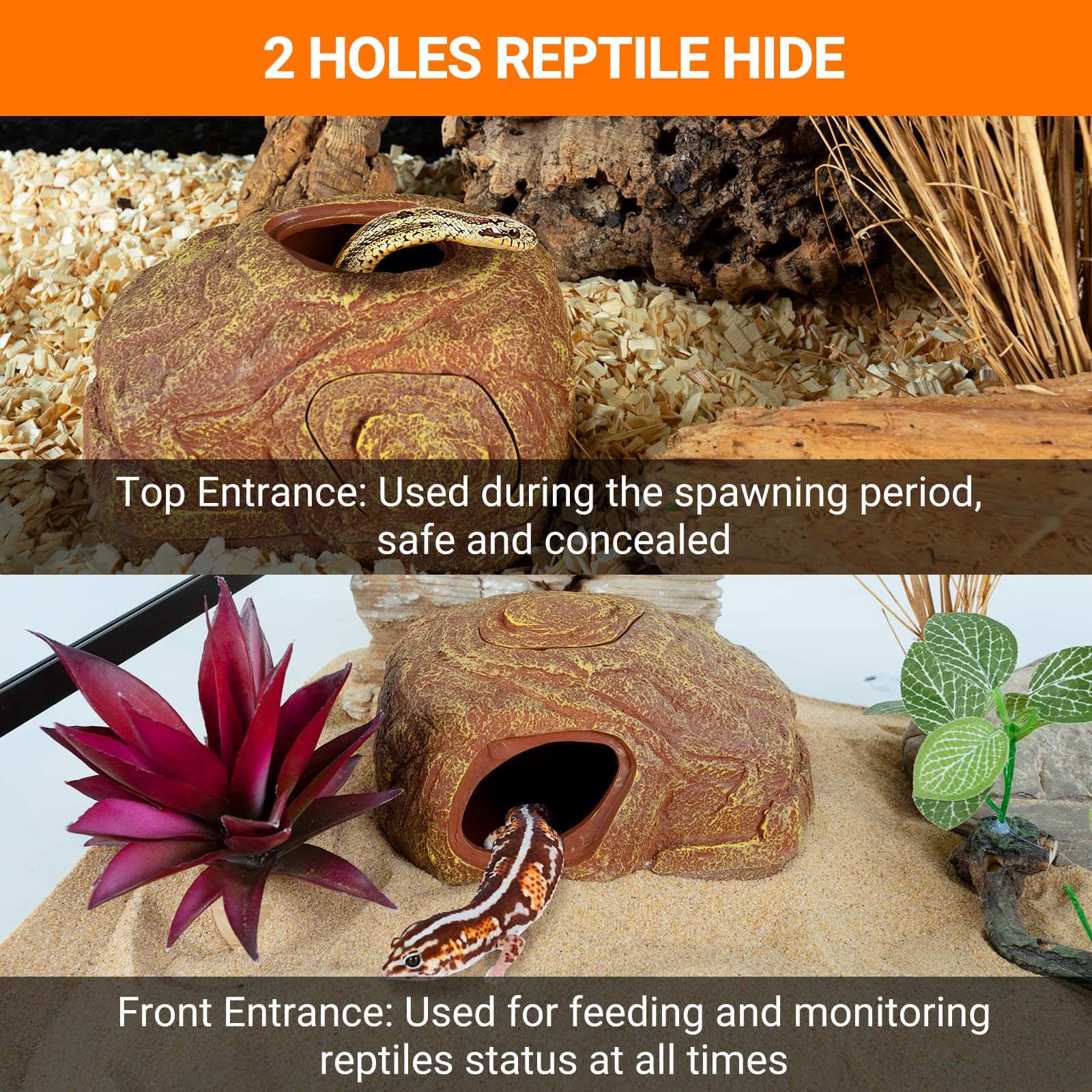 REPTI ZOO Gecko Hide Cave egg-spawning hole promotes natural breeding setup