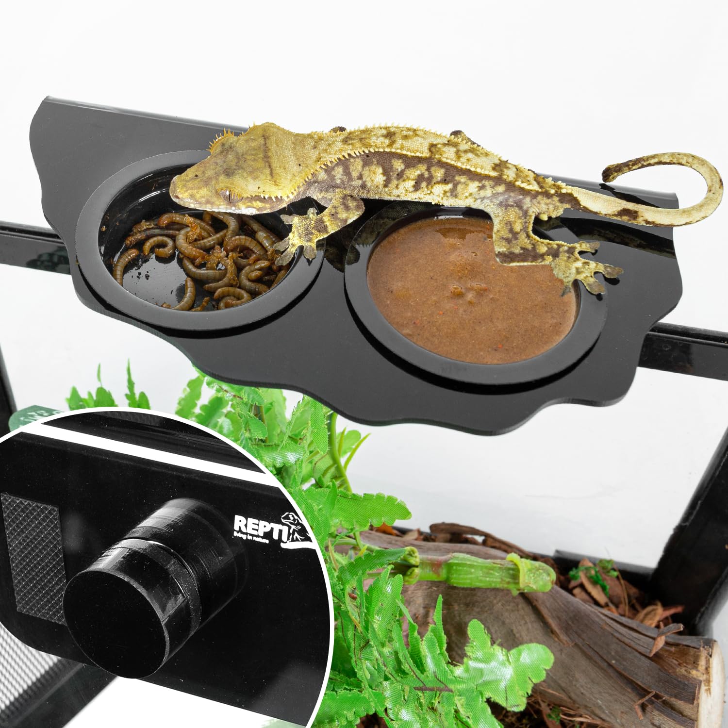 REPTI ZOO gecko ledge cups closeup highlights 1.9 inch cups for easy refilling.
