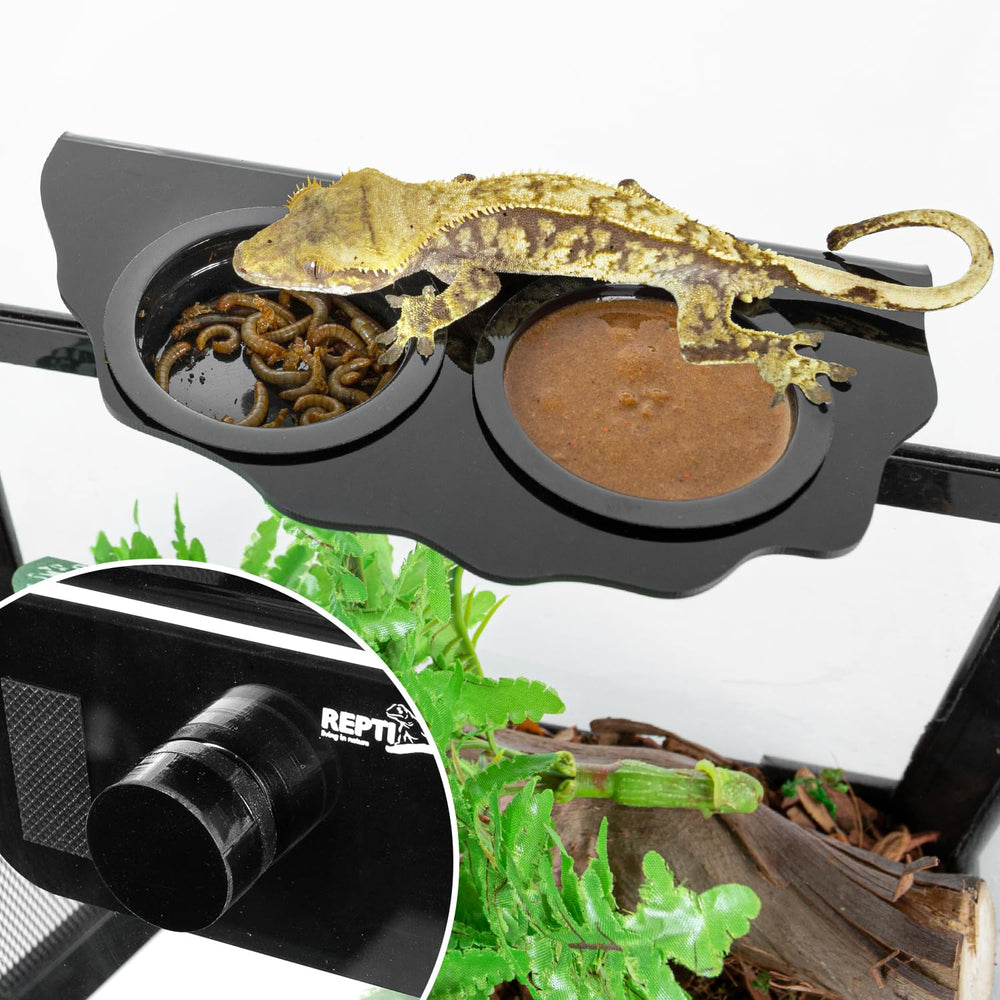 REPTI ZOO gecko ledge cups closeup highlights 1.9 inch cups for easy refilling.