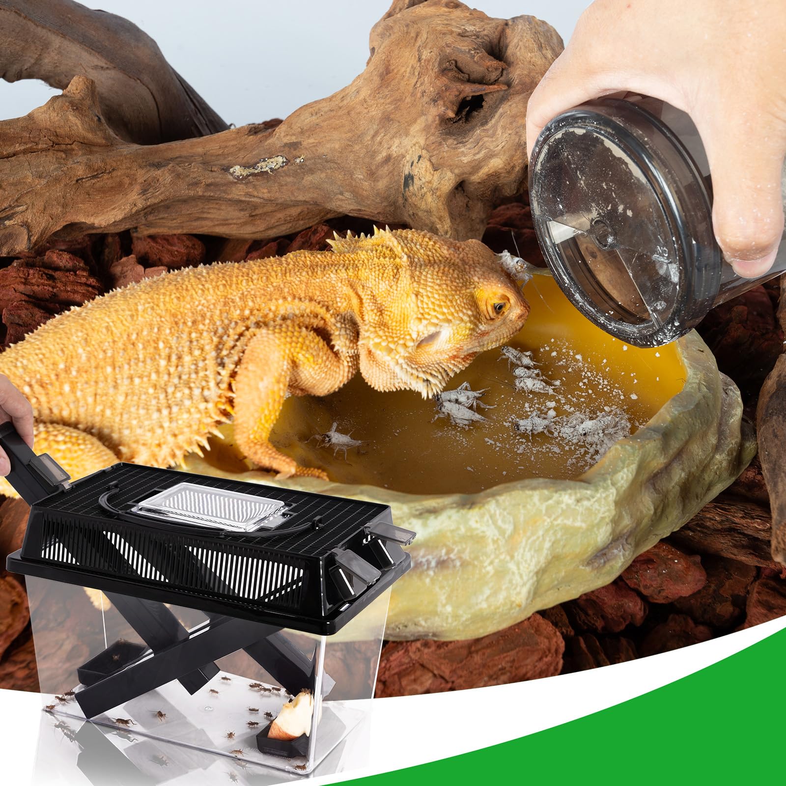 REPTI ZOO handheld feeding kit supports on-the-go reptile feeding