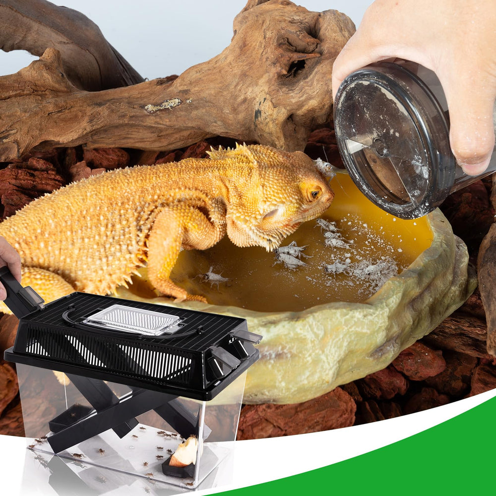 REPTI ZOO handheld feeding kit supports on-the-go reptile feeding