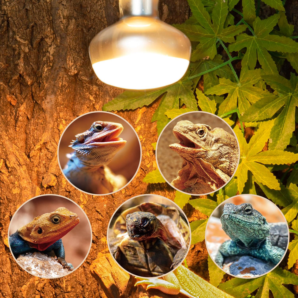 REPTI ZOO heat lamp two-pack shown for reptile terrarium or chicken brooder use.