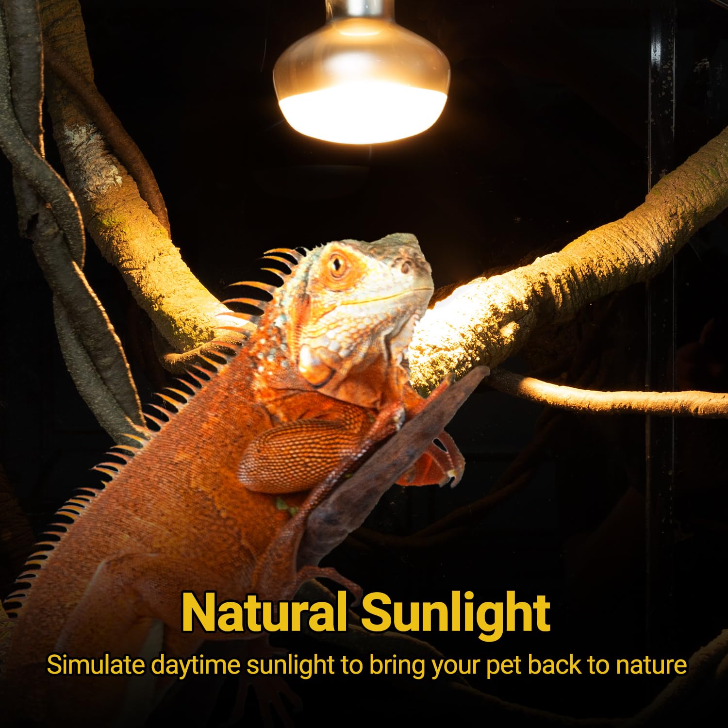 REPTI ZOO heat lamp UVA spectrum mimics sunrise and sunset for natural behavior.