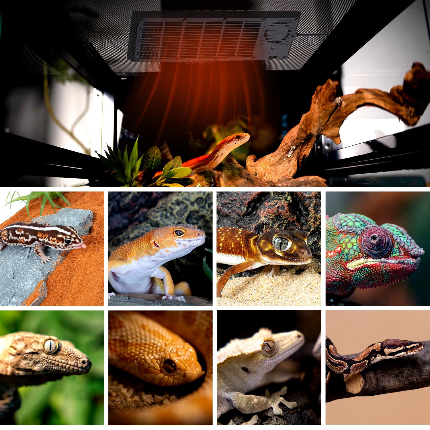 REPTI ZOO easy-setup under-lid panel keeps terrarium neat and heat-focused.