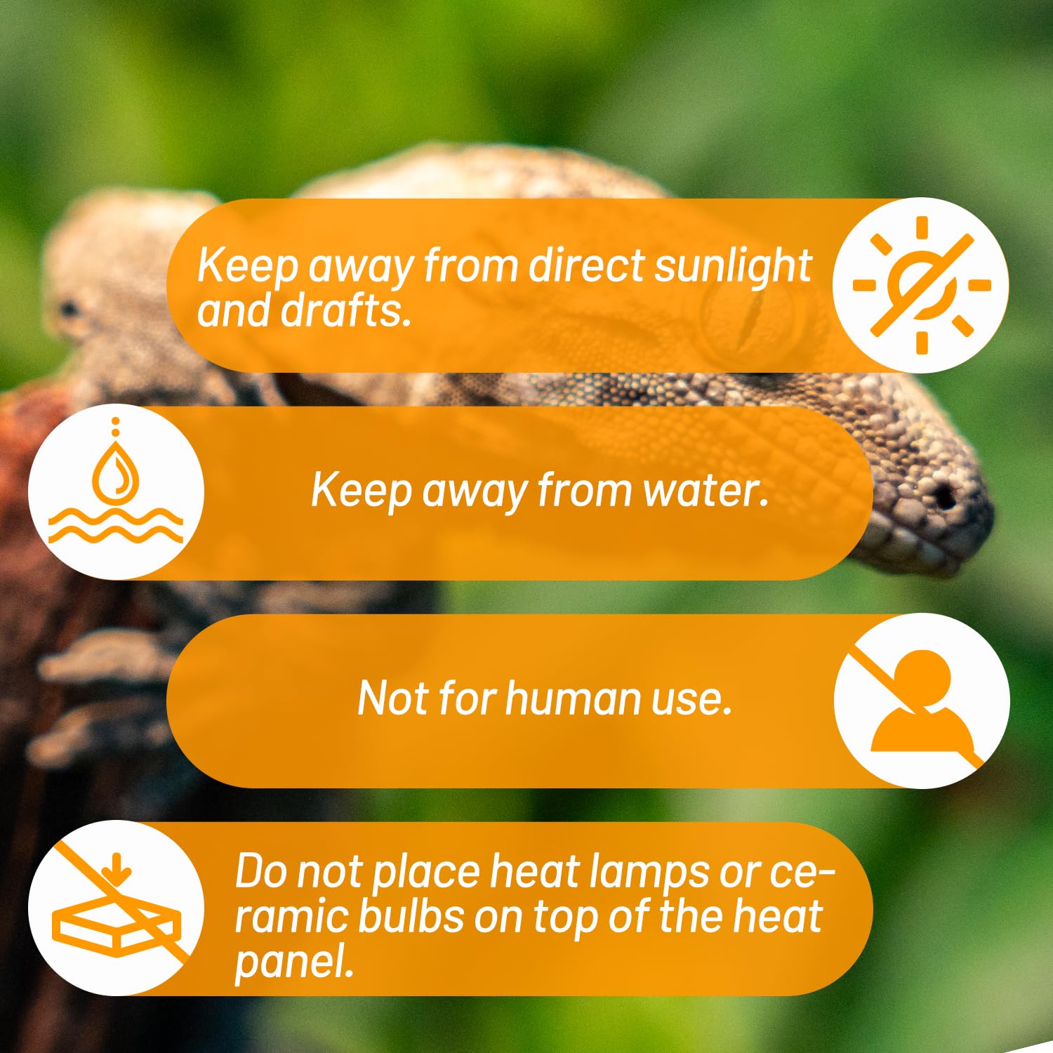 REPTI ZOO heat panel supports snakes, geckos, turtles, and other terrarium inhabitants.