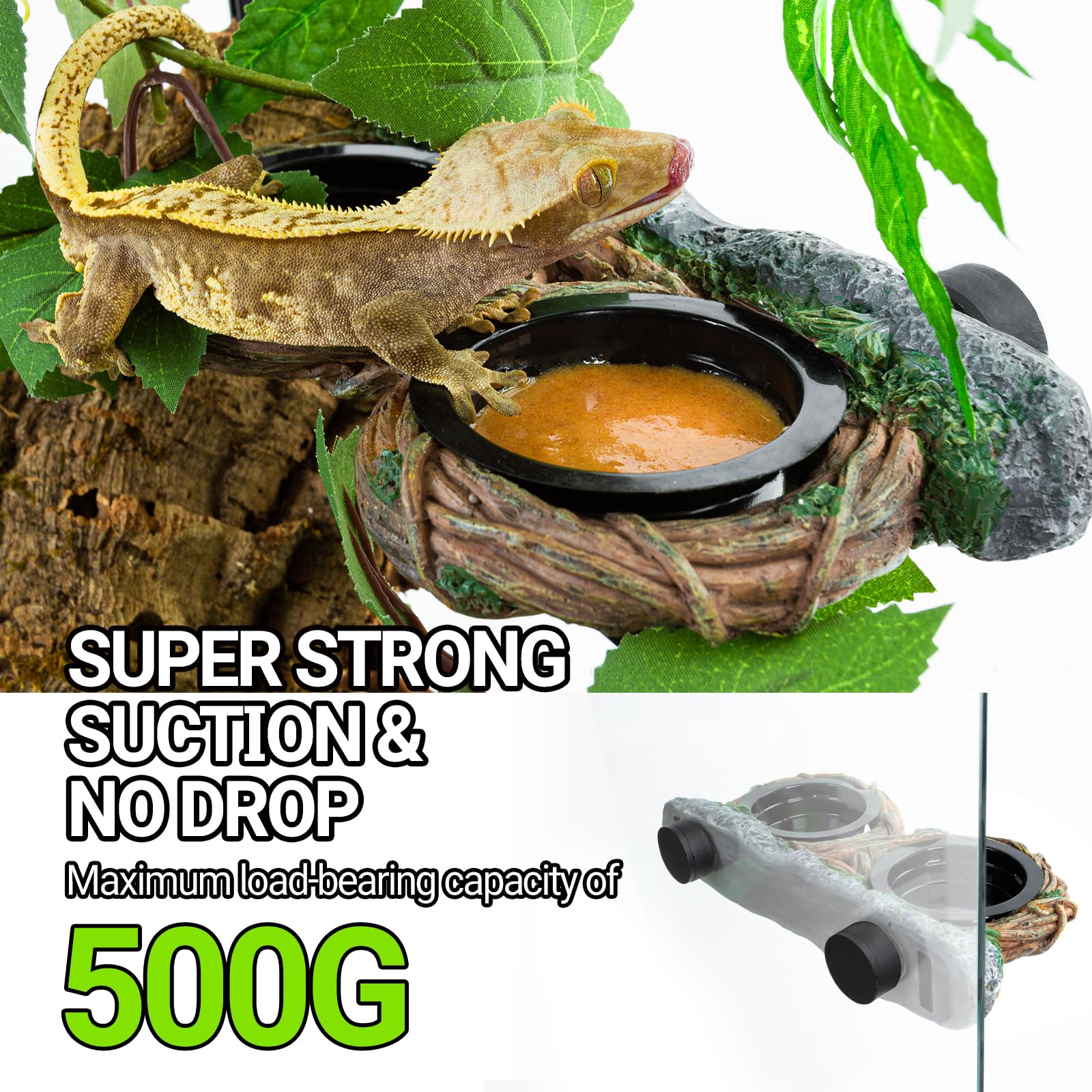 REPTI ZOO hollow vine food dish adds natural dining spot in terrarium