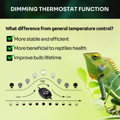 REPTI ZOO independent controls thermostat enables precise temperature management.