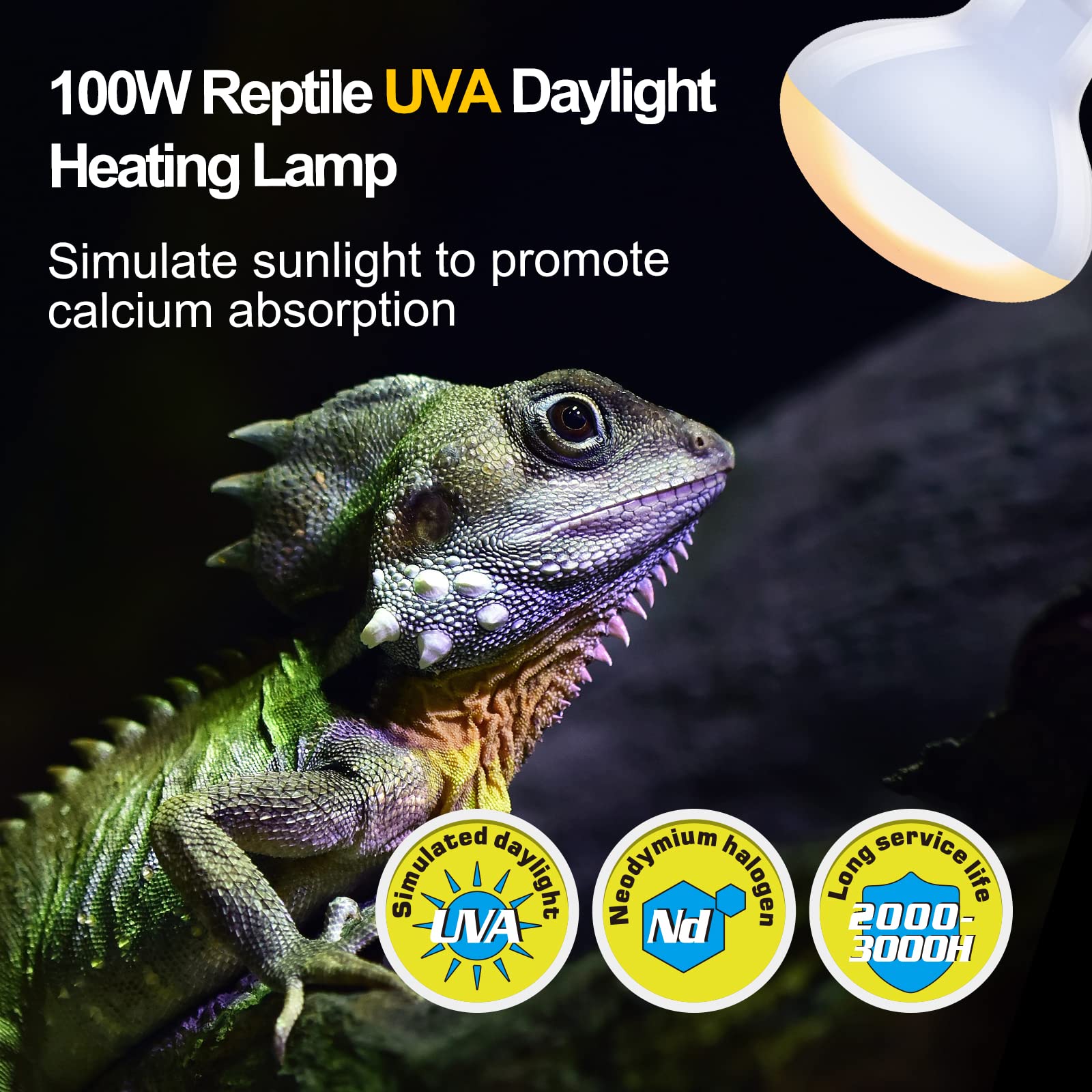 REPTI ZOO infrared heat lamp 100W emphasizes basking spot for healthier feeding and digestion.