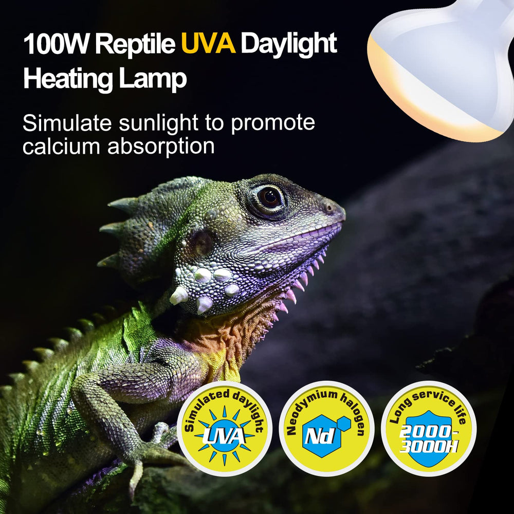 REPTI ZOO infrared heat lamp 100W emphasizes basking spot for healthier feeding and digestion.
