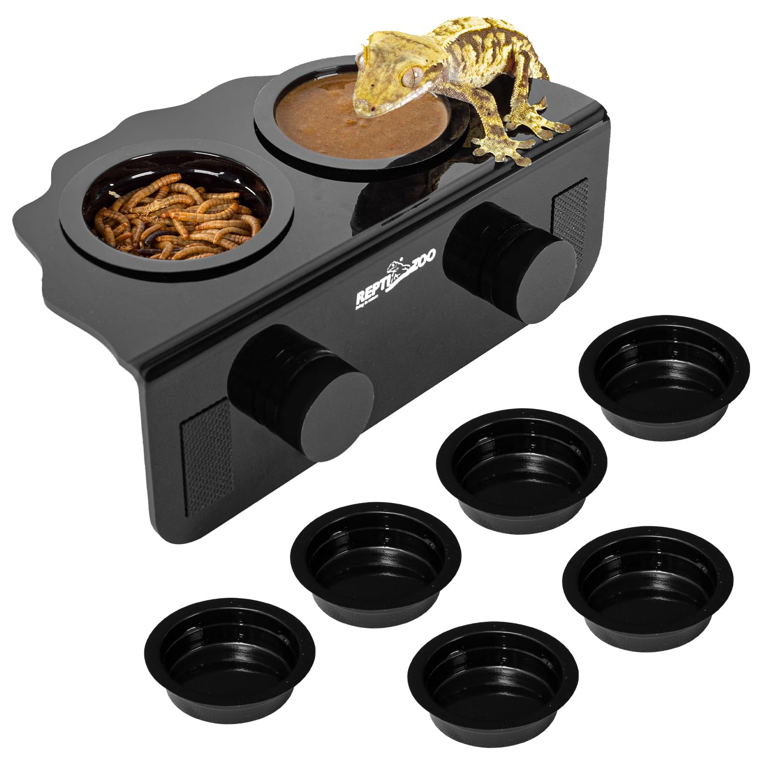 REPTI ZOO Magnetic Gecko Feeding Ledge assembled for secure mounting and easy feeding