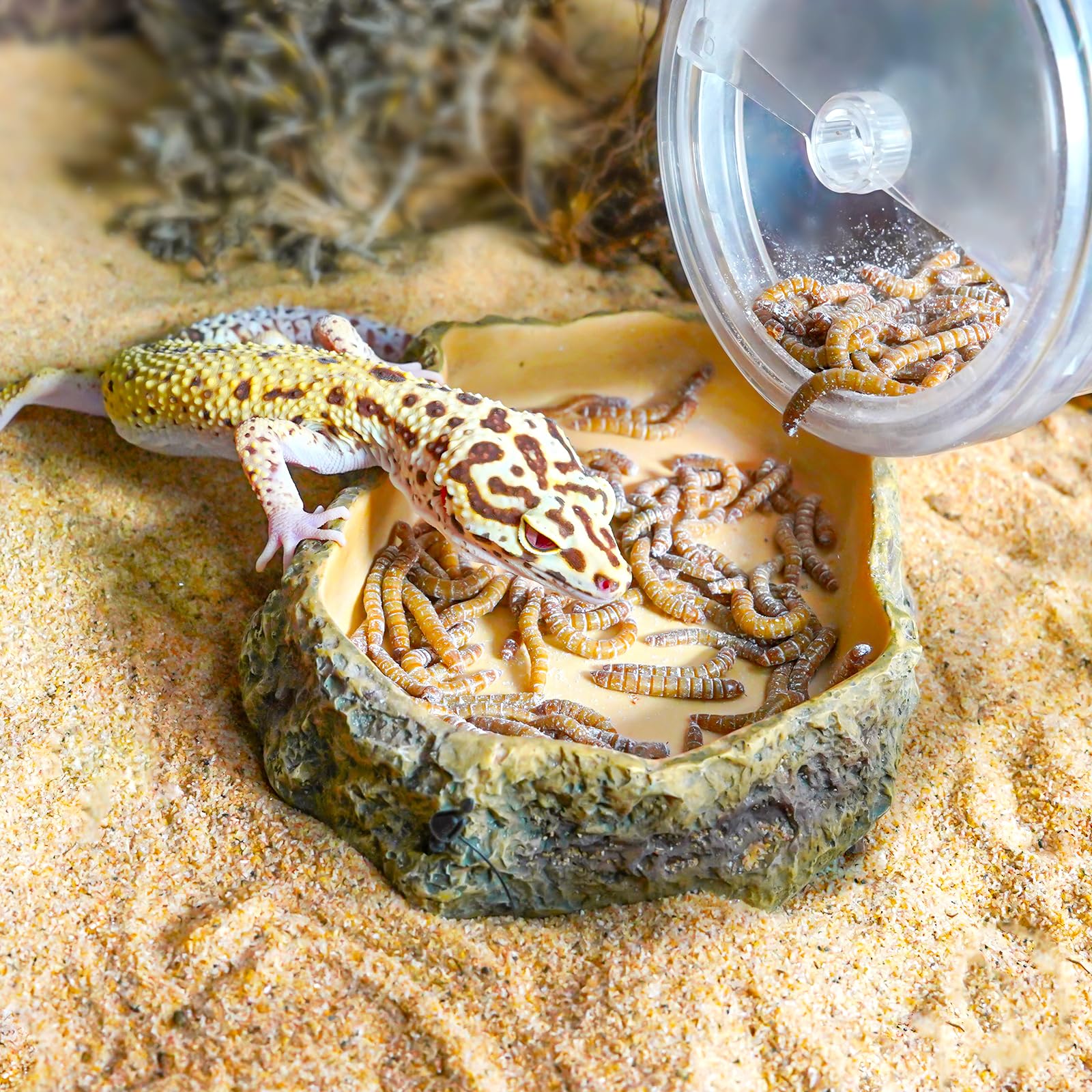 REPTI ZOO multi-species reptile feeder suits lizards geckos and snakes