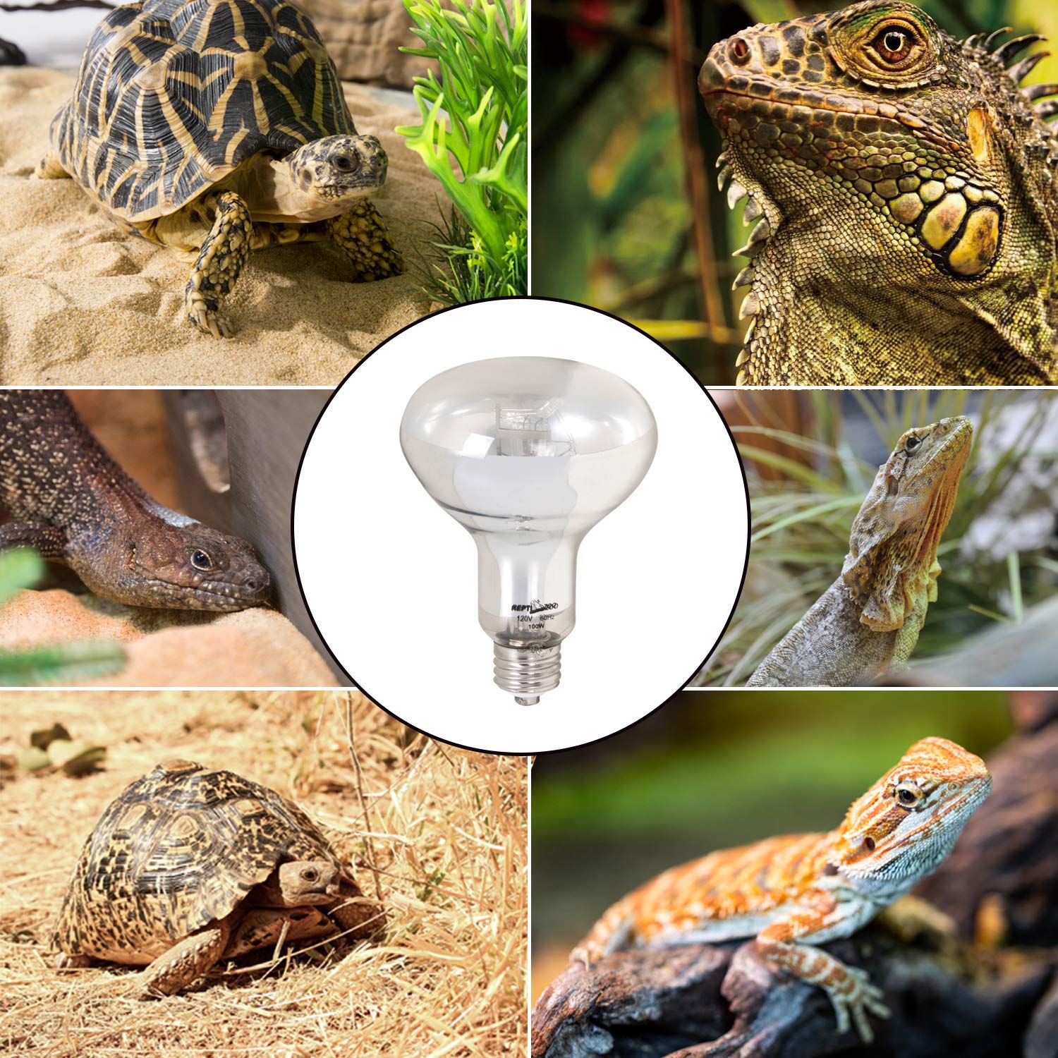 REPTI ZOO packaging-included-lamp shows when you buy the lamp ready to install