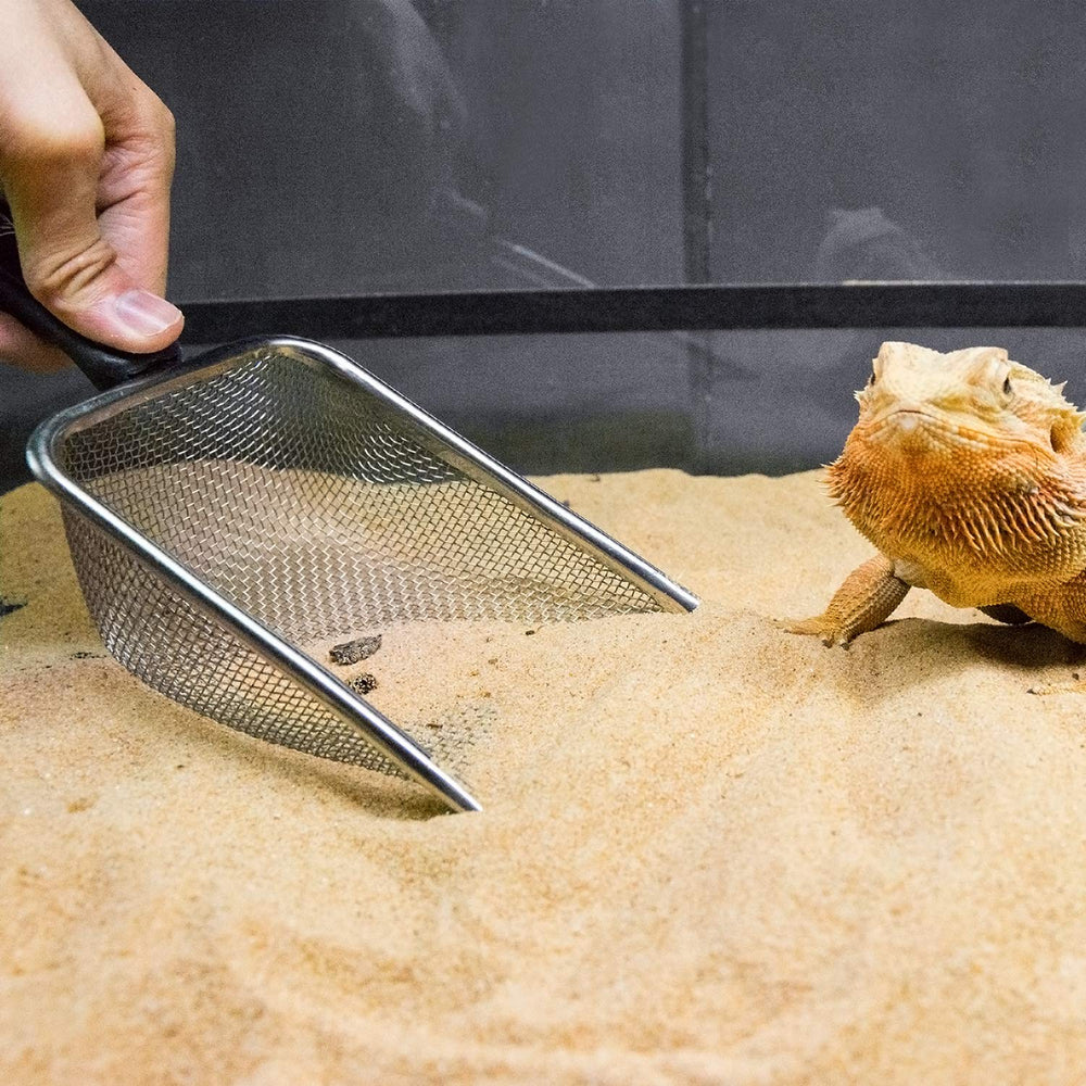 REPTI ZOO professional-grade design signals trusted reptile habitat care.