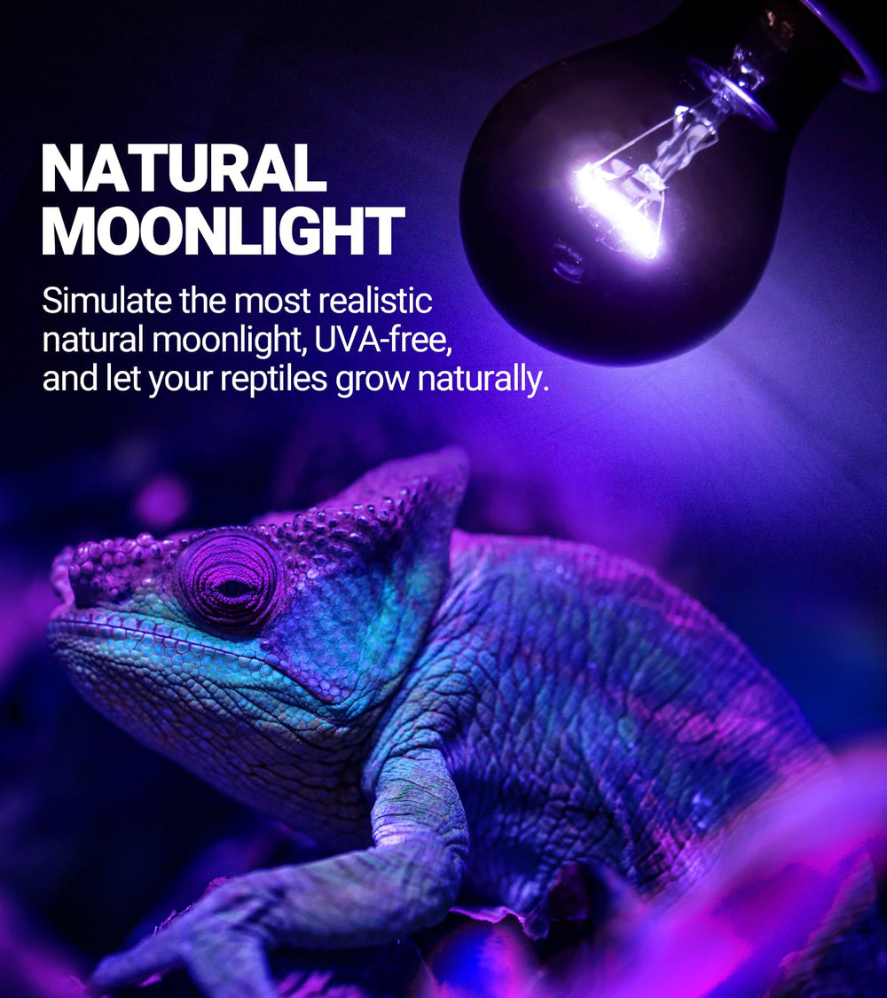 REPTI ZOO purple-coated night heat bulb shows non-disruptive moonlight for restful reptile sleep