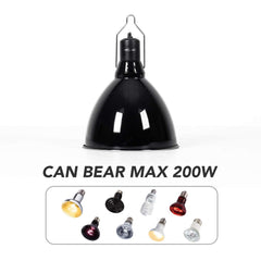 REPTI ZOO removable ceramic socket enables easy bulb swaps and maintenance.