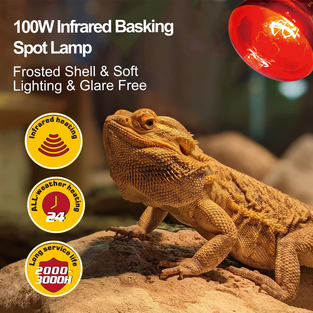 REPTI ZOO reptile basking spot-light setup demonstrated for daytime activity and thermoregulation.
