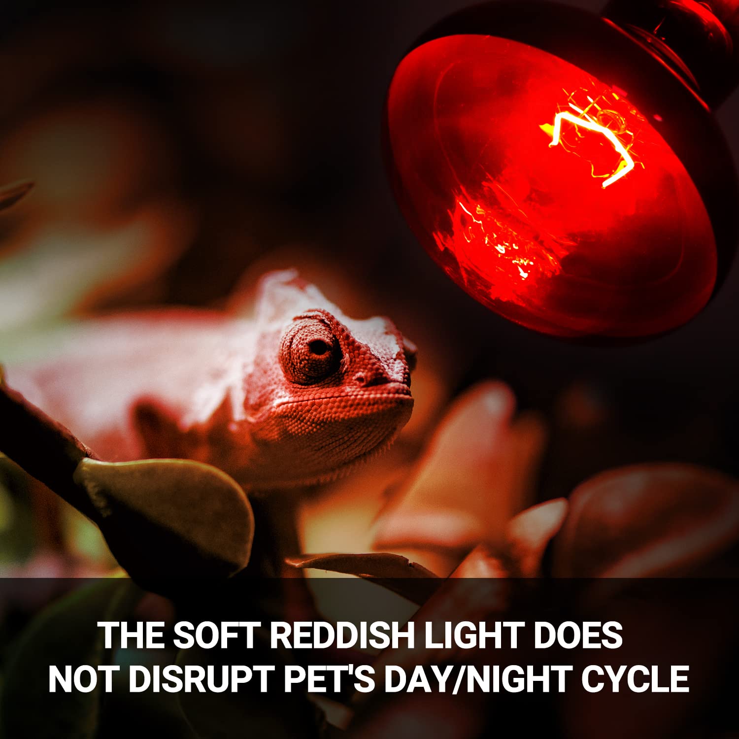 REPTI ZOO reptile heat lamp setup demonstrating E26 socket compatibility