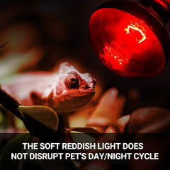 REPTI ZOO reptile heat lamp setup demonstrating E26 socket compatibility