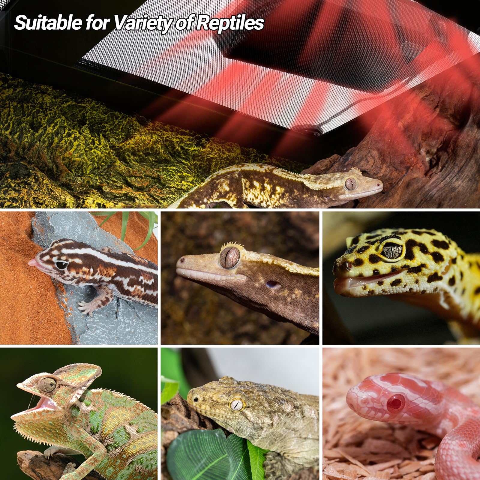 REPTI ZOO reptile heat panel ideal for tank setup ensuring stable indoor warmth