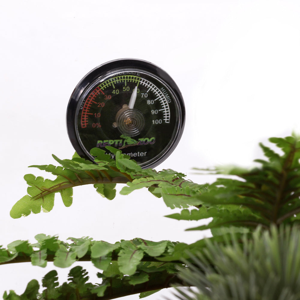 REPTI ZOO reptile terrarium hygrometer in vivarium for quick humidity readings.