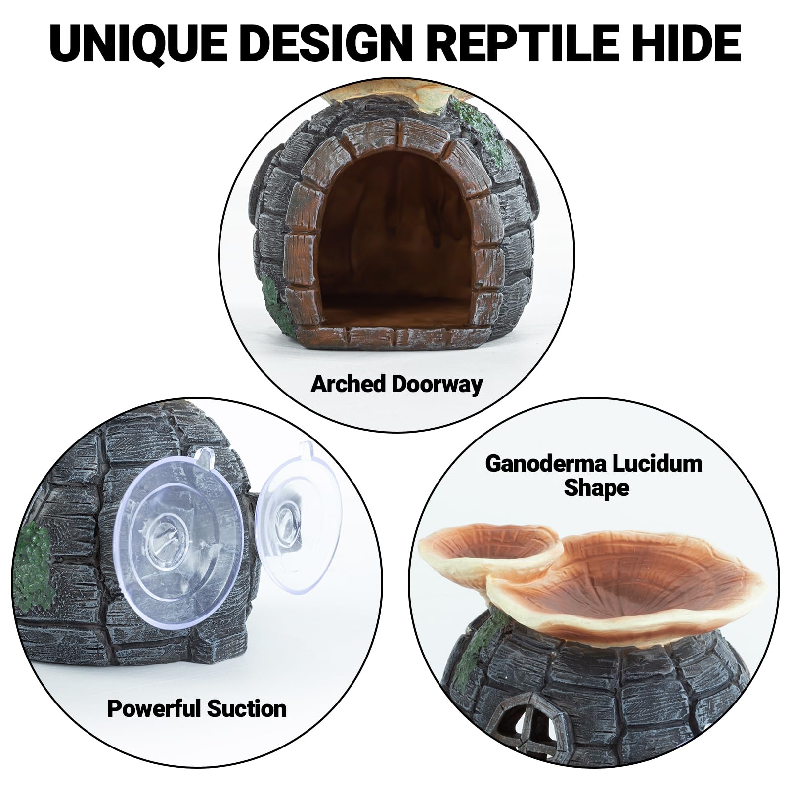 REPTI ZOO safe non-toxic resin ensures pet-friendly hideouts with smooth edges.