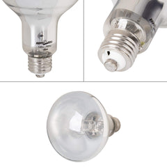 REPTI ZOO self-ballasted light with integrated ballast simplifies setup