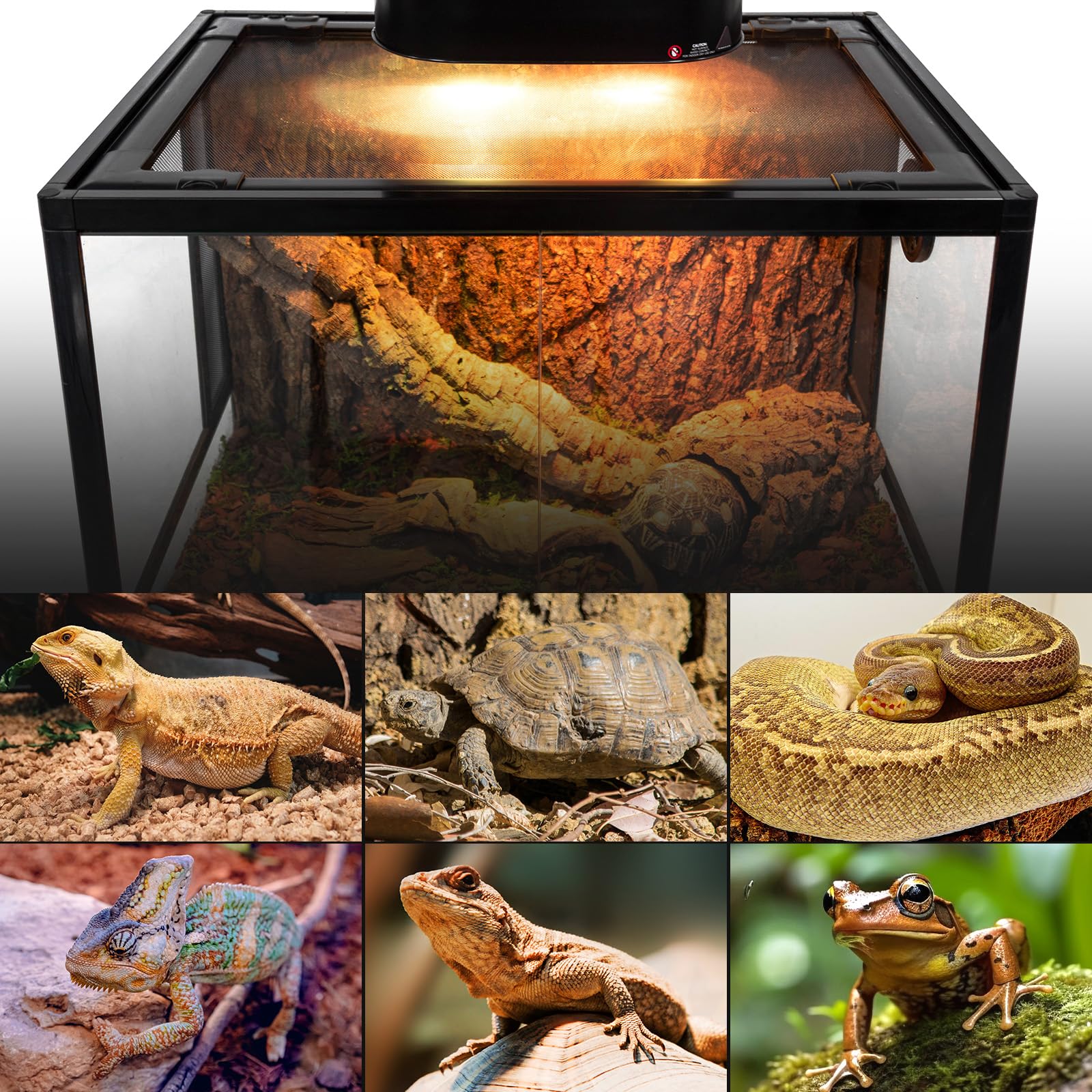 REPTI ZOO Service & support image signals reliable after-sales assistance.