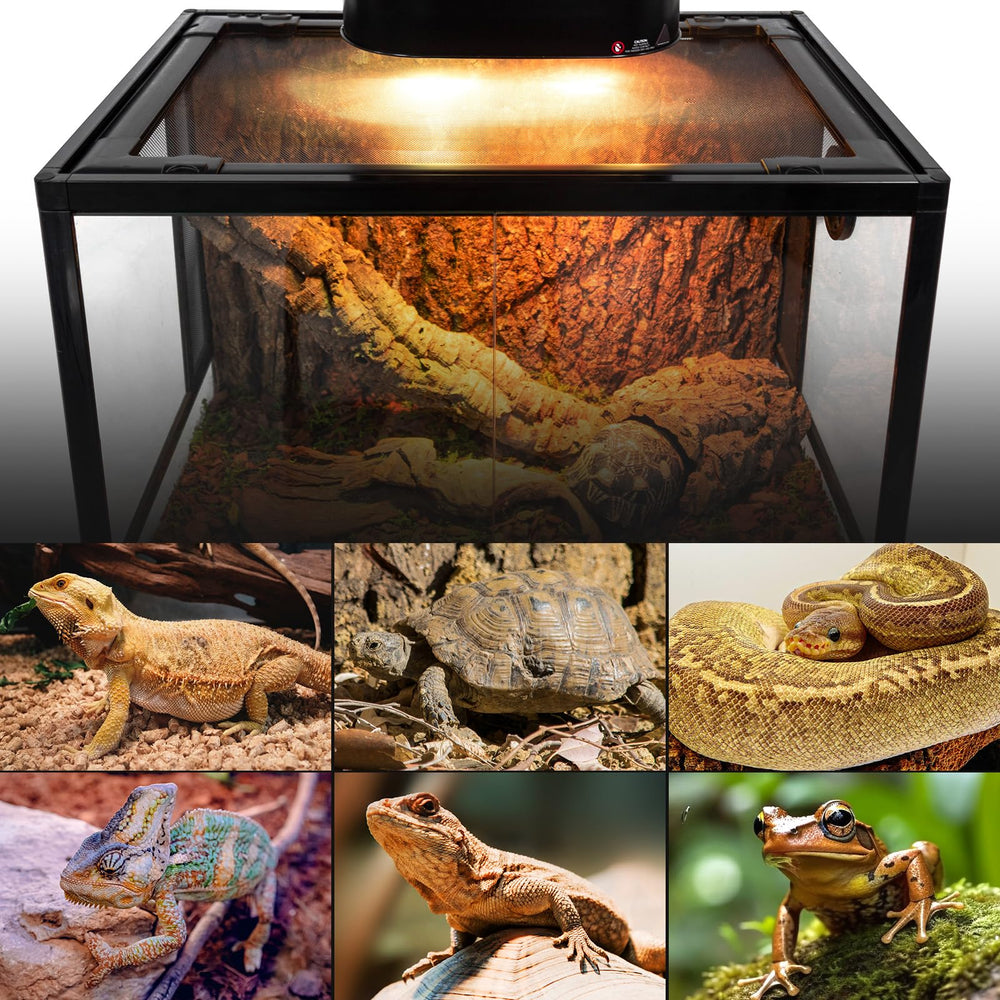REPTI ZOO Service & support image signals reliable after-sales assistance.