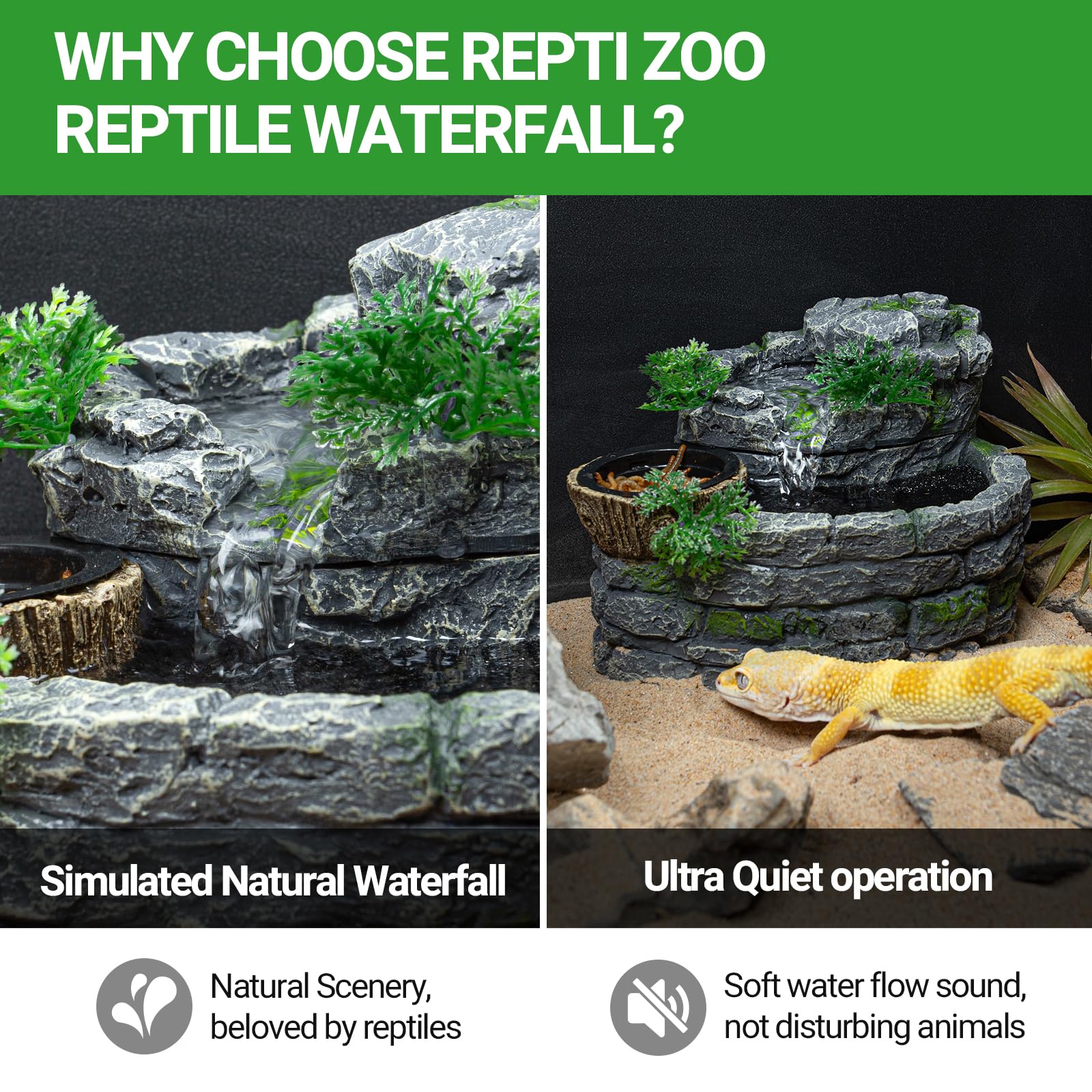 REPTI ZOO silent pump operation demonstrates quiet terrarium setup