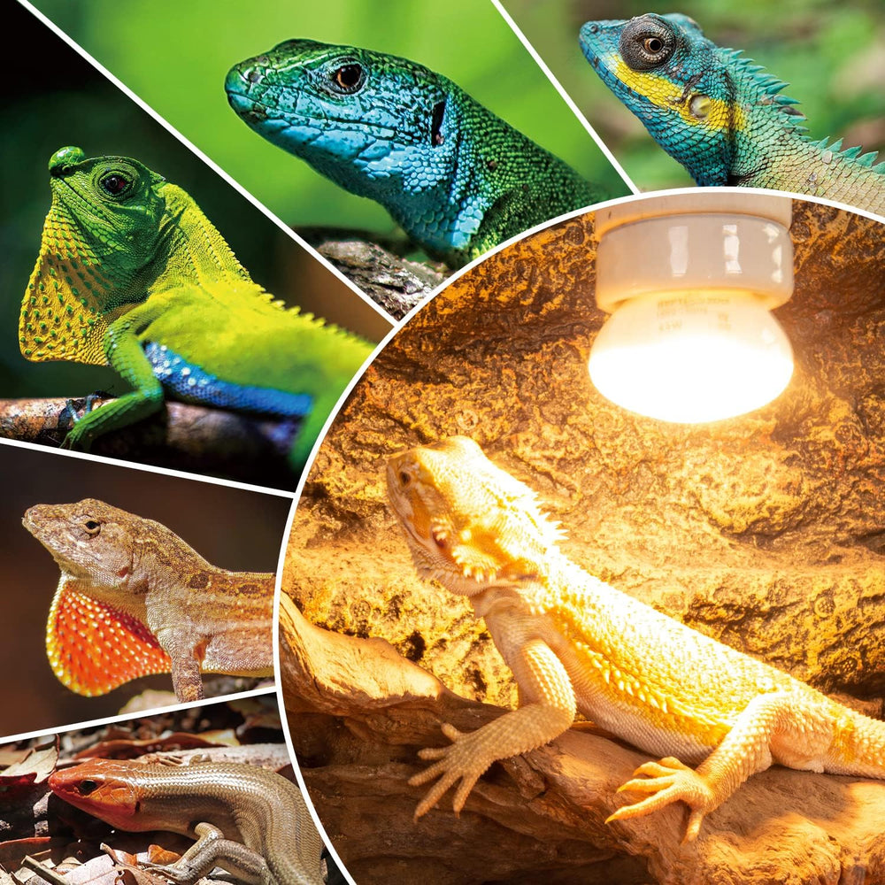 REPTI ZOO for snakes and turtles, reliable ambient warmth during the day.