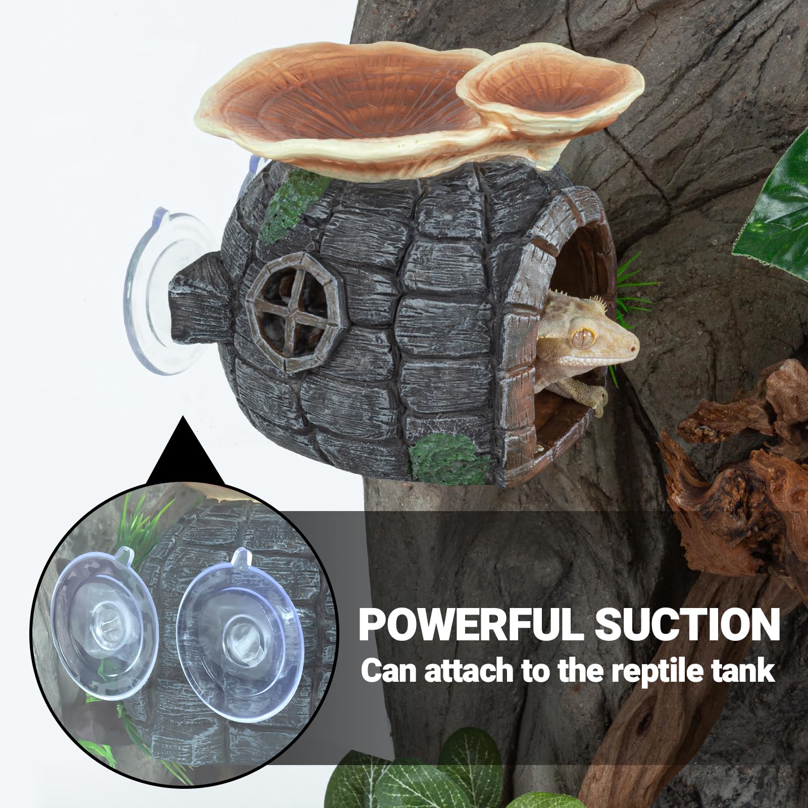 REPTI ZOO suction cups attach easily to terrarium walls for versatile hiding spots.